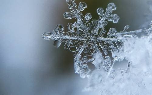 Prévenir et résoudre les problèmes de fosse septique en hiver