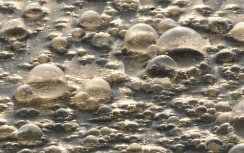 L’impact de la pollution des fosses septiques sur l’eau